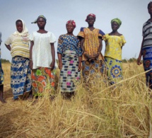 Droit à la terre : Les femmes de Kolda plaident pour un meilleur accès aux ressources productives