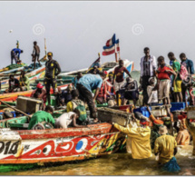 Saint-Louis/ Sécurité en mer et techniques de géolocalisation: Des capitaines de pirogues capacités