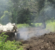 Casamance : Environ 1 million 500 mille m2 de terres à déminer