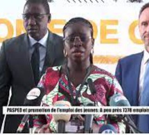 Coopération sénégalo-italienne : Plus de 1 190 entreprises accompagnées, 7 378 emplois créés et 51 Sénégalais de la diaspora subventionnés