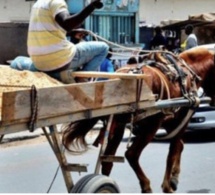 Interdiction de la circulation des charrettes à Dakar : L’importante décision prise par arrêté interministériel