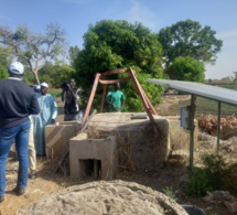 Activités maraîchères: Le village de Dassilamé Sérére de Toubakouta, doté d’infrastructures et d’équipements modernes