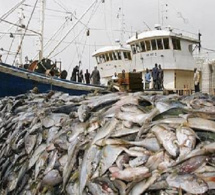 Coopération : Le Sénégal et le Libéria s’associent pour renforcer la lutte contre la pêche illégale