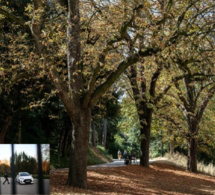 Horreur à Paris : Un corps de femme découpé, retrouvé dans le parc des Buttes-Chaumont