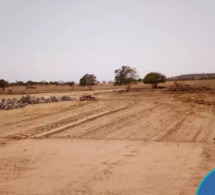 Foncier à Thiès/ Arnaque ou attributions légales: Les terrains de Ndobène et de Thiaoune Bambara, assaillis