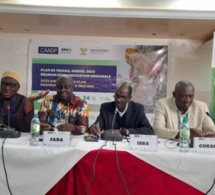 Développement de l’agriculture en Afrique : Des chercheurs se réunissent à Dakar pour intensifier la collaboration et le partage d’expériences