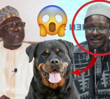 Mauvaise nouvelle, Cheikh Bara Ndiaye de Walf est "le chien" de Sonko, replique Moustapha Diakhaté