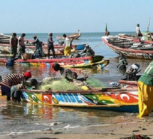 Pèche artisanale : Soumbédioune, grippé par la raréfaction du poisson