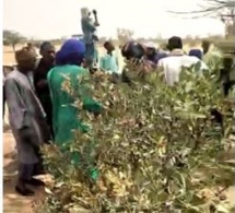 Le foncier encore source de conflit : Bagarre entre forces de l'ordre et les habitants de Mbane