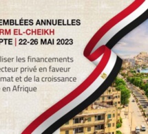 Financements en faveur du climat et de la croissance verte : La mobilisation des ressources du secteur privé au cœur des débats de la 58e assemblée annuelle de la Bad en Égypte