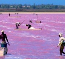 Alerte environnement : Le plan d'eau du Lac Rose a diminué de 70 %, en 50 ans, selon le directeur du CSE