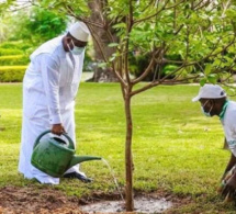 Forte canicule à Tambacounda : Le gouverneur invite chaque jeune à planter un arbre