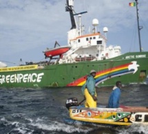 Altercations entre pêcheurs à Cayar : Greenpeace appelle au calme