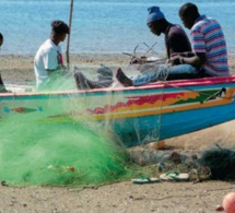 Pêche / Contrôle : Pour utilisation du monofilament et autres, 516 pirogues arraisonnées en 2020