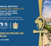 Assemblées annuelles de la Banque africaine de développement : Une conférence de presse prévue le 20 avril prochain