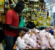 Marché Tilène/ Craintes sur sa disponibilité: Le poulet est bien au rendez-vous