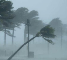 Météo : ANACIM alerte sur un vent fort sur la Petite côte et la Casamance