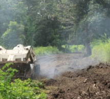 Casamance : Plusieurs zones libérées des mines et des restes explosifs de guerre