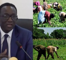 Les fortes recommandations du premier ministre Amadou Ba pour la Campagne agricole 2023 – 2024