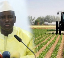 L’engagement du Ministre chargé de l’Agriculture, Aly Ngouille Ndiaye sur les 100 milliards