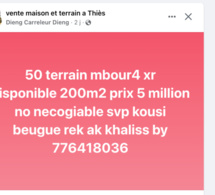 Vente de terrains à Mbour 4 : Complicité avec l'entrepreneur ou la direction des impôts et domaine de Thiès?