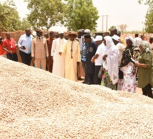 Tournée agricole d’avant l’hivernage à Tambacounda et Kolda: Aly Ngouille Ndiaye visite les dispositifs de la campagne agricole