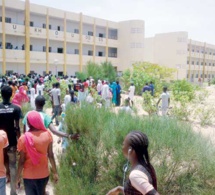 Perturbation des cours au lycée de Diouloulou : Vers la radiation de deux enseignants