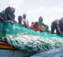 Utilisation des mono filaments : Les pêcheurs de Thiaroye-sur-mer exigent la levée de l’interdiction