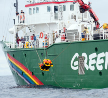 Greenpeace Afrique: "La bonne gouvernance des ressources halieutiques permettrait d’éviter les altercations entre pêcheurs en mer"