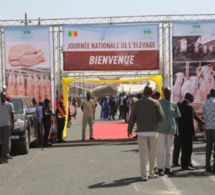 Le Président Macky Sall préside la première édition de la journée nationale de l'élevage