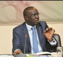 Financement du secteur de l'agriculture : Mamadou Moustapha Bâ, Ministre des Finances et du Budget, annonce un montant de 100 milliards FCfa, alloués