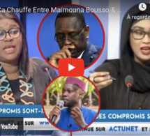 Urgent : Ça Chauffe Entre Maimouna Bousso &amp; Néné Fatoumata Tall" réseau sociaux motakh ligeuyi lene"