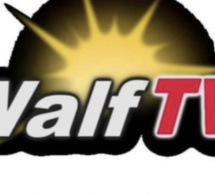 Suspension du signal de Walf Tv, mise au chômage… : La position du Bureau exécutif national du Synpics