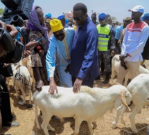 EN TOURNEE DANS LES MARCHES A BETAIS LE PREMIER MINISTRE AMADOU BA RASSURE ...