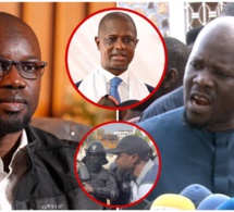 URGENT: Massaly tacle sévèrement le "criminel" Sonko, ses militants sont responsables des m0rts et