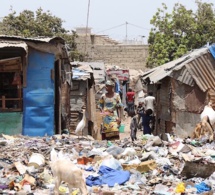 Thiaroye Gare : Les déguerpis de la « Cité Imb£cile » créent la panique