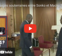 Macky et Sonko sont-ils en discussion souterraine ? L’avis de Aly Ngouille Ndiaye