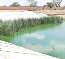 Bassin de Darou Rahmane et Pofdy: Les deux bassins renforcés et sécurisés