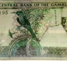 Gambie : Yayah Jammeh imprime son image sur les nouveaux billets de banque