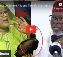 Ndeye Sow Leila taxe Alioune Tine de charognard et fait de terribles révélations…