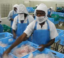 ASSURANCE-CAUTION : Un marché prometteur au Sénégal