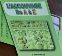 « L’Accouvage De A À Z », Sous La Plume De M. Babacar BA