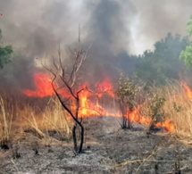 Boyinadji : Un feu de brousse ravage une importante surface de tapis herbacé