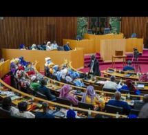 Assemblée Nationale : La Semaine Sera Décisive