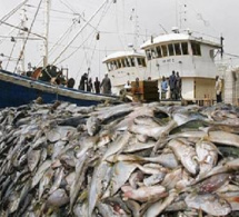 Crise des ressources halieutiques : Des acteurs de la pêche tirent sur la sonnette d’alarme