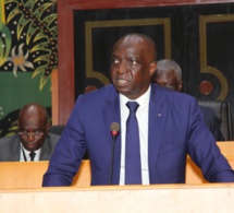 Contribution du secteur de l’agriculture à la croissance : Le ministre Mamadou Moustapha Ba apporte des éclairages