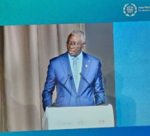 Rencontre parlementaire de la COP28 : Le discours de Amadou Mame Diop, le président de l'Assemblée nationale du Sénégal