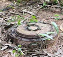 Mort de 4 braves soldats-Les condoléances de Karim Wade : La paix définitive en Casamance, un de ses chantiers prioritaires au soir du 25 février 2024