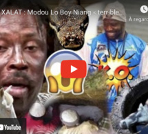 WAX SA XALAT : Modou Lo Boy Niang « terribles révélations Modou Lo moy….sarakhou "