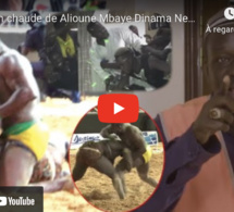 Réaction chaude de Alioune Mbaye Dinama Nekh après la défaite de Boy Niang contre Modou« Liko dane..